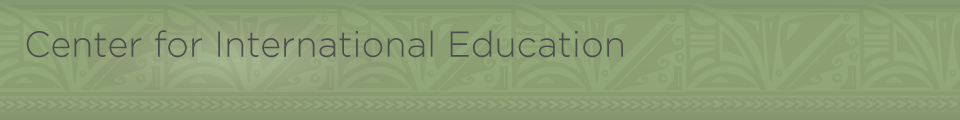 Center for International Education header graphic