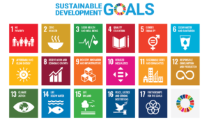 The 17 United Nations Sustainable Development Goals