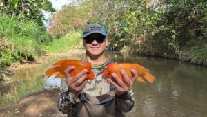 Wilson Xiong pictured holding two Red Devil Cichlid fish